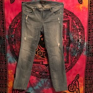 NWOT 16R plus size Torrid light wash skinny jeans
